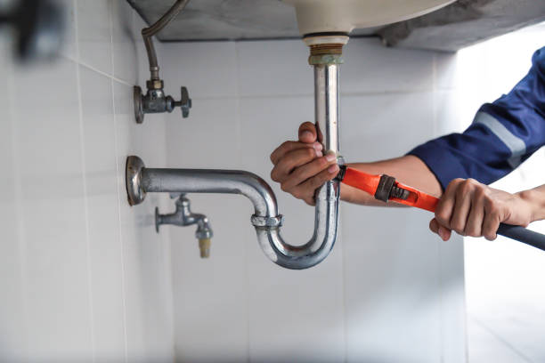 Best Plumbing Inspection Services  in Albany, WI