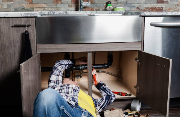 Best Commercial Plumbing Services  in Albany, WI
